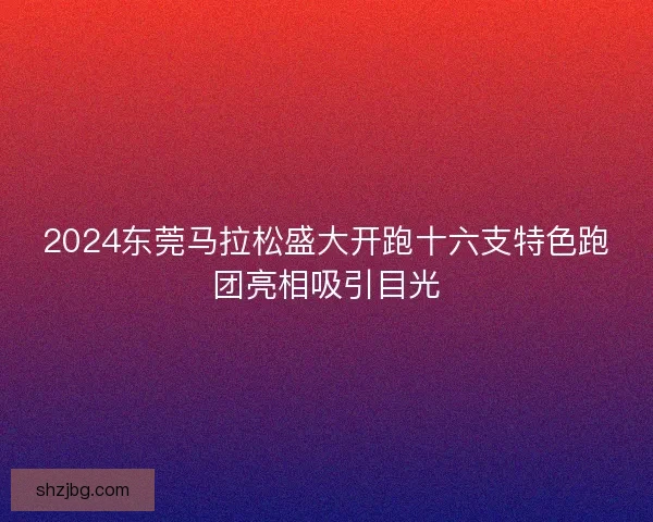 2024东莞马拉松盛大开跑十六支特色跑团亮相吸引目光