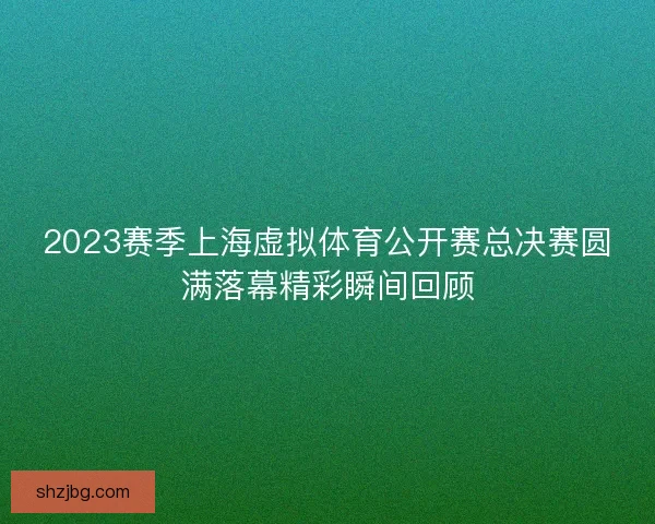 2023赛季上海虚拟体育公开赛总决赛圆满落幕精彩瞬间回顾